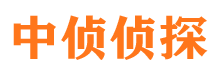 大埔侦探公司